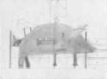 Ein Schwein